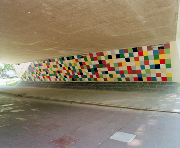 401826 Afbeelding van het tegelmozaïek tegen de wand van een fietstunnel in de wijk Lunetten te Utrecht.